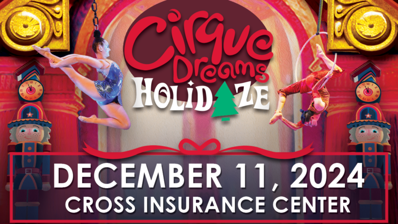 Cirque Dreams Holidaze