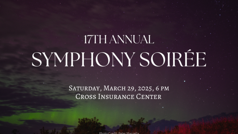 17th Annual Symphony Soirée